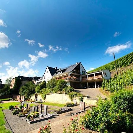 Chateau-De-La-Moselle Kinheim Extérieur photo