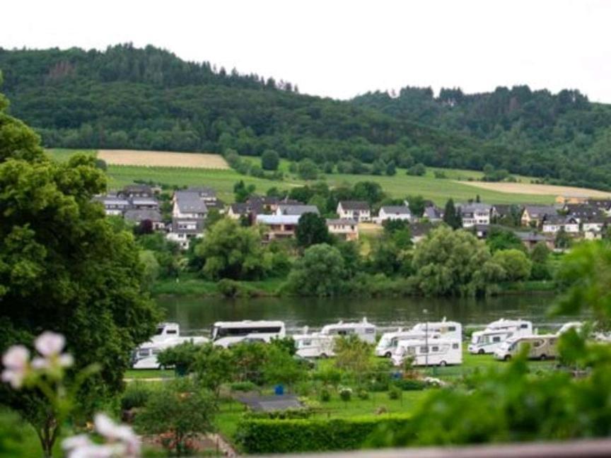 Chateau-De-La-Moselle Kinheim Extérieur photo