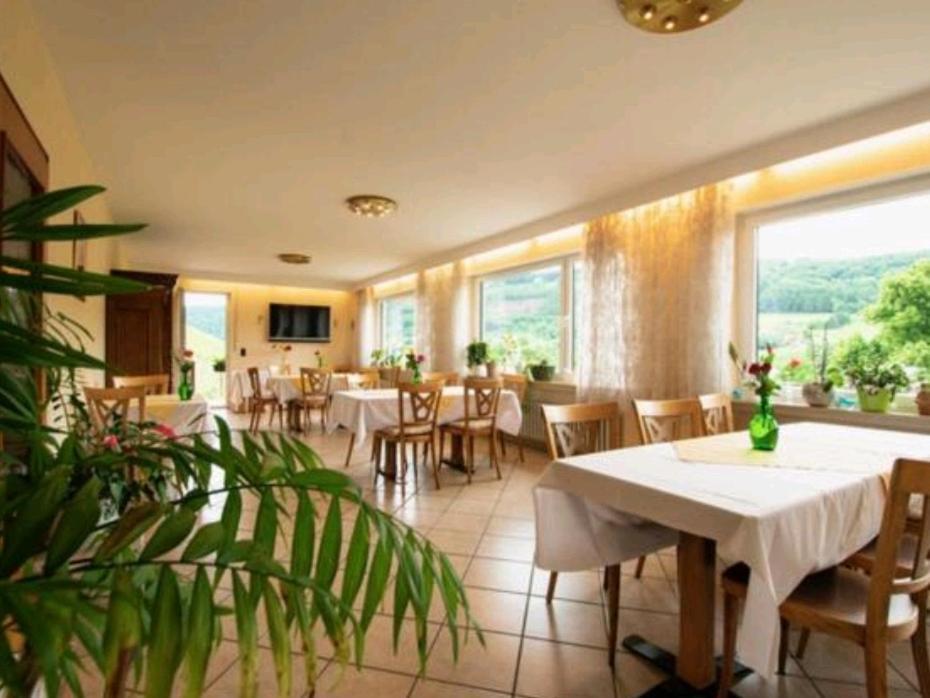 Chateau-De-La-Moselle Kinheim Extérieur photo
