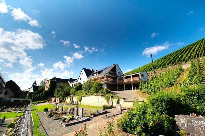Chateau-De-La-Moselle Kinheim Extérieur photo